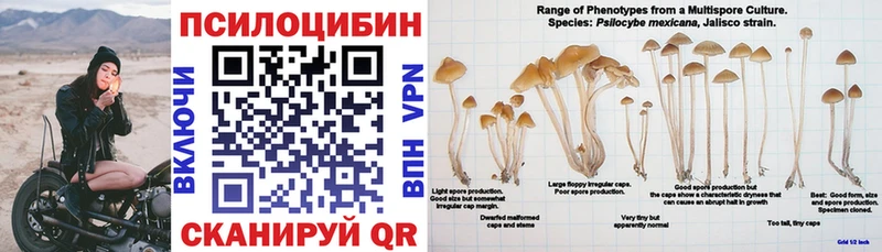 Галлюциногенные грибы прущие грибы Уфа